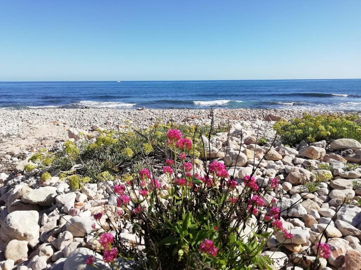 Denia Playa Montanas Y Mucho Mas Lejlighed Eksteriør billede
